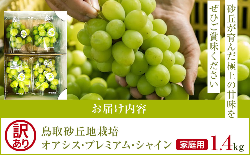 915.【先行予約】シャインマスカット 訳あり 家庭用 鳥取砂丘地産 1.4kg（350g×4パック） ※離島への配送不可 ※2026年8月下旬～10月下旬頃に順次発送予定