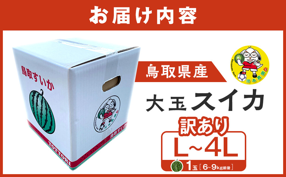 1115.【先行予約】鳥取県北栄町産 大玉スイカ 訳あり 1玉 6-9キロ前後L-4L（こちらの返礼品は、大栄西瓜ではありません）