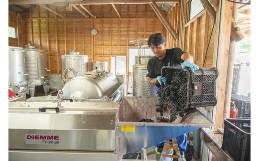 684.辛口赤ワイン『富士の夢2017大山』【化粧箱入り】　※着日指定不可　※離島への配送不可