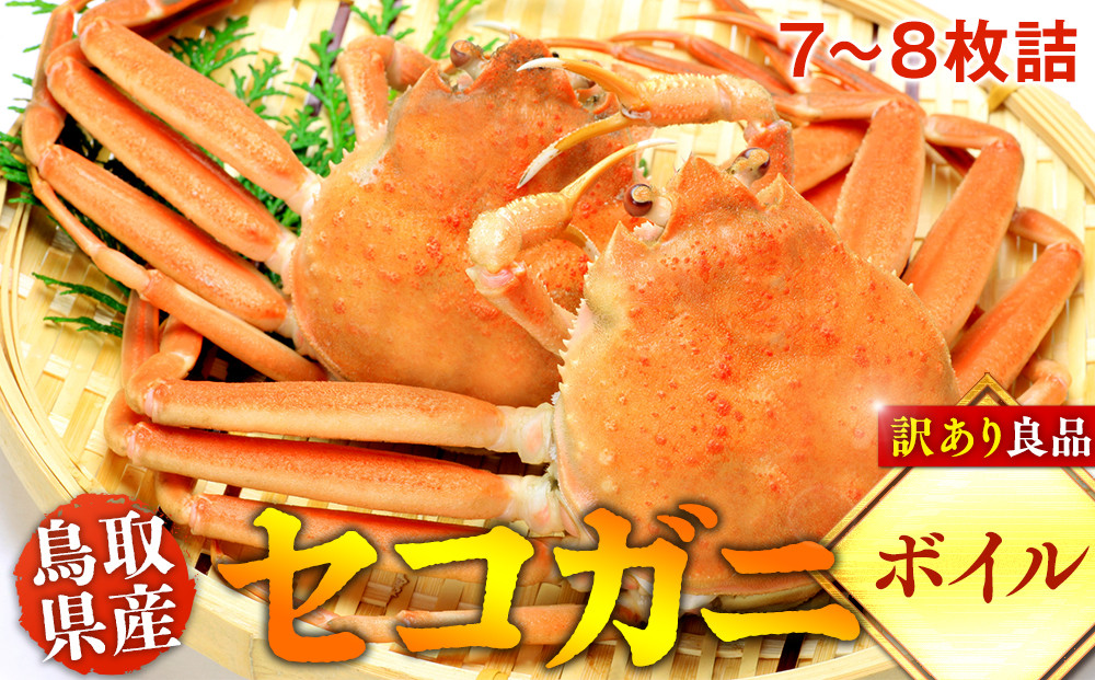 922.【ボイル】鳥取県産セコガニ　訳あり　良品7~8枚詰《かに カニ 蟹 セコガニ》※2026/11/6～2026/12/25に順次発送予定※着日指定不可  離島不可（北海道、沖縄本島は配送可能）