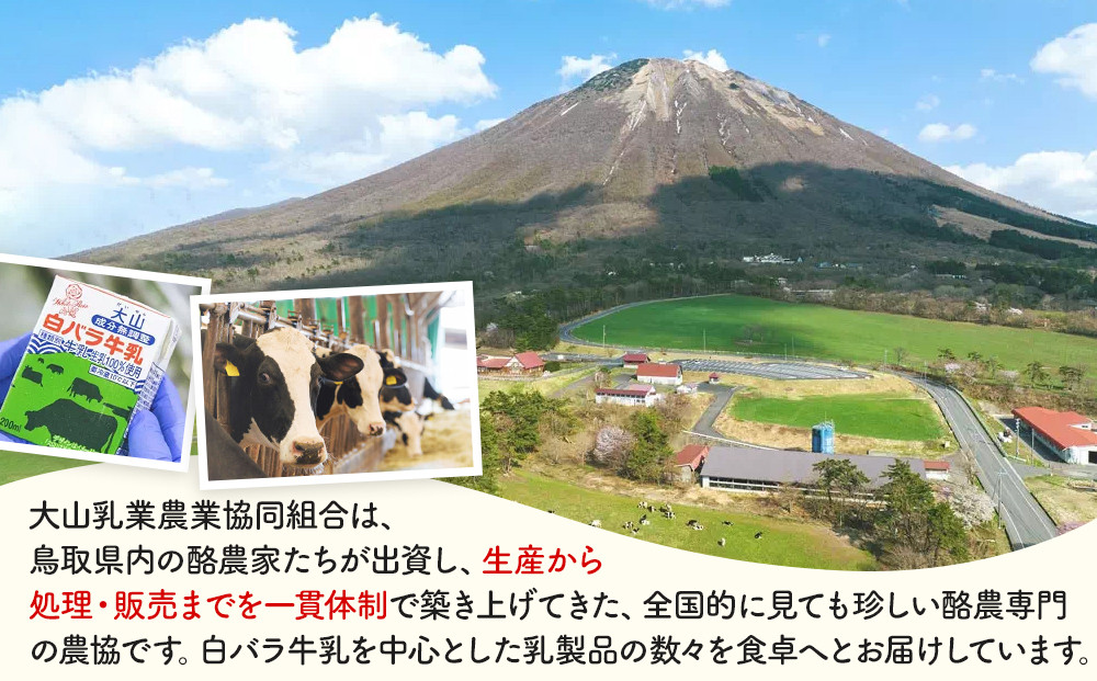 1012.白バラのチーズギフト