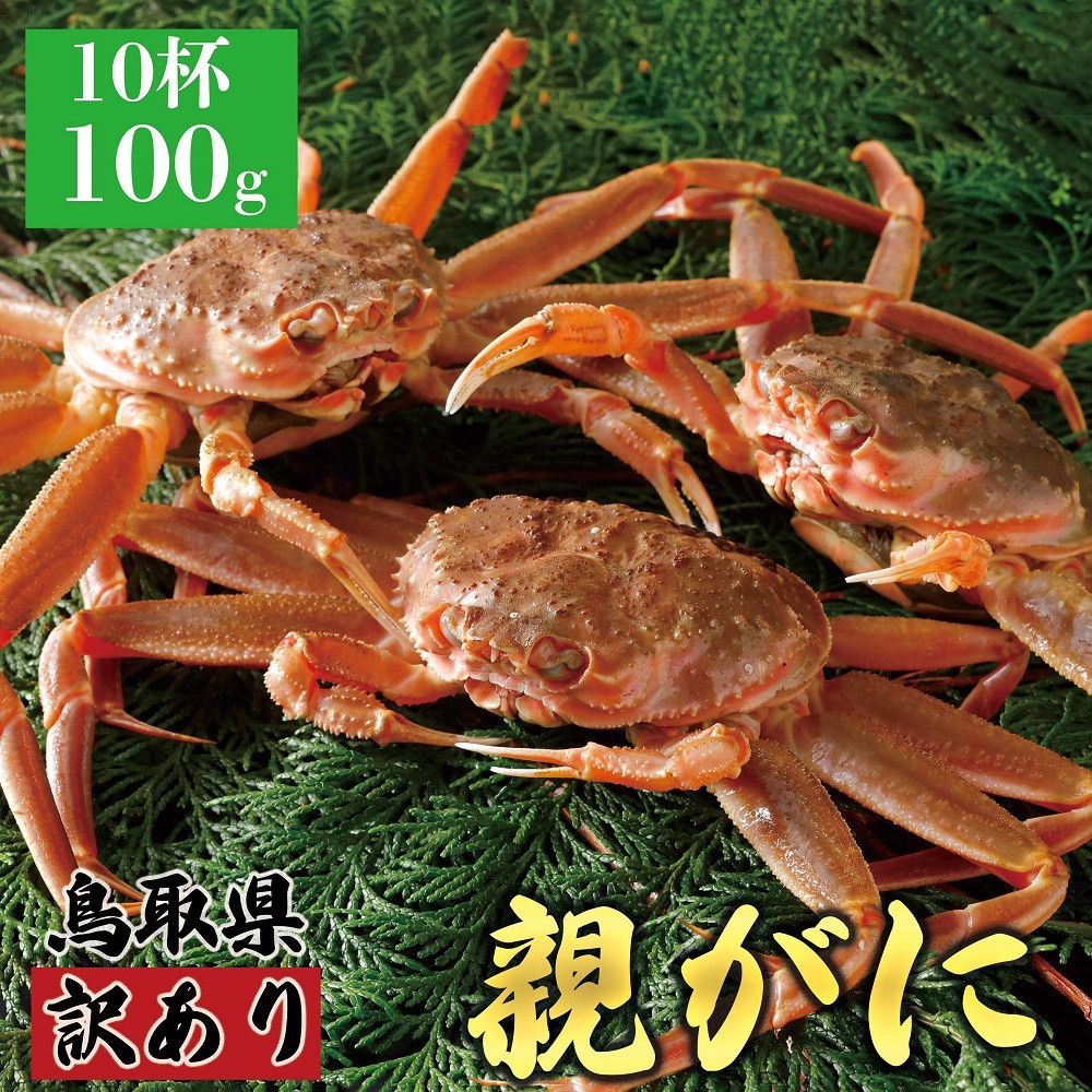 1073.【2026年12月発送】鳥取県産 特撰 親がに 姿【セコガニ】（なま）【訳あり】100g 10杯