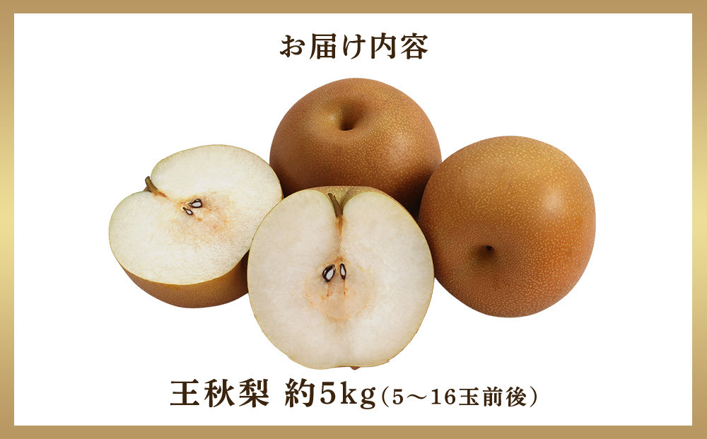 297.ãå
è¡äºçŽãçç§æ¢šã5kgååŸïŒ5ïœ16çååŸïŒâªæç© ãã«ãŒã ãã ãã®â«ãâ»2026幎10æäžæ¬ïœ12æäžæ¬é ã«é 次çºéäºå®