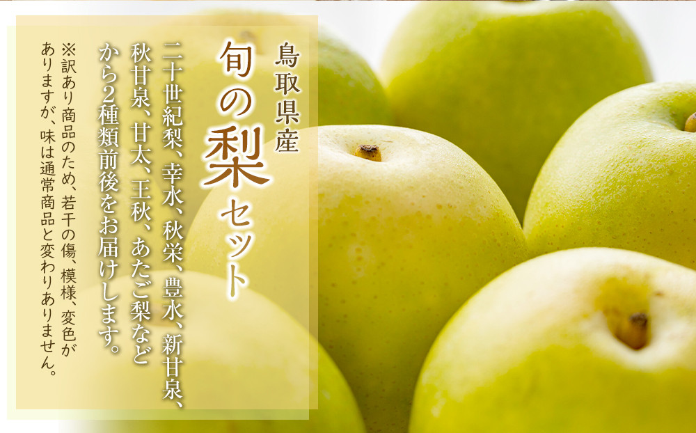 949.【訳あり】鳥取県産旬の梨セット 3kg【梨・なし・果物 フルーツ・くだもの】