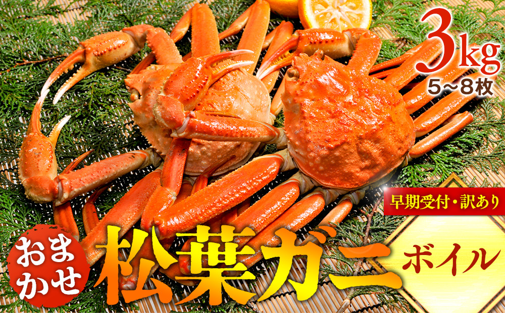 695.【早期受付】【ボイル】訳あり　松葉ガニおまかせ3kg（5～8枚）《かに カニ 蟹 ズワイガニ》※着日指定不可※2026年11月上旬頃から順次発送予定