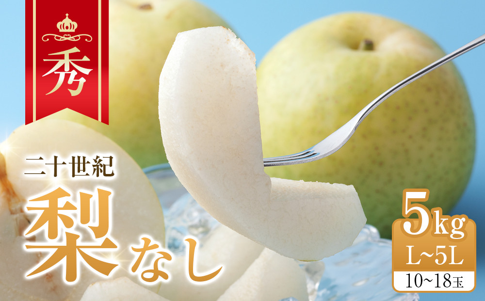 279.【先行予約】二十世紀梨　秀5kg　L～5L　10～18玉前後◇　※2026年8月下旬～9月下旬頃に順次発送予定