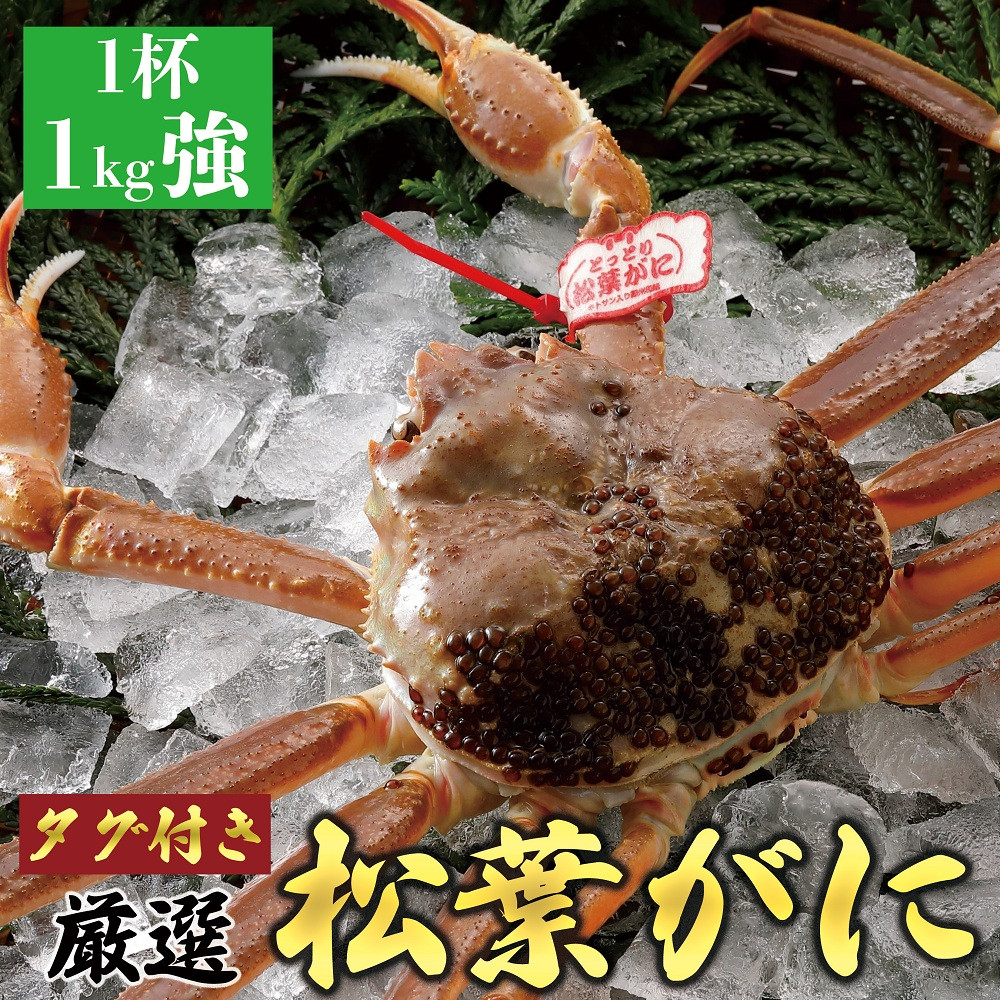 756.【活】≪2026年1月～2026年3月発送≫ 特撰 松葉がに（なま）【ブランドタグ付き】1kg超の大きいサイズ 食べ応えあり 特大1杯
