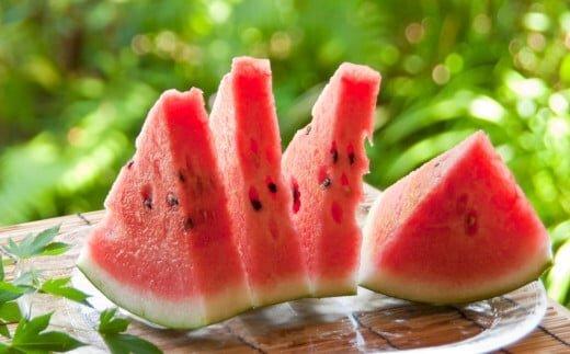 241.【先行予約】プレミアムスイカ　1玉◇※5月下旬～8月中旬頃に順次発送予定（こちらの返礼品は、大栄西瓜ではありません）