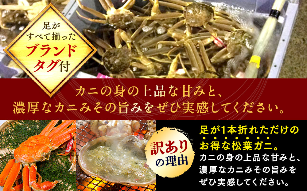1021.【ボイル】足1本なし　訳あり松葉ガニ　並1枚（500～600g前後）【着日指定不可】※2026年11月上旬～2027年3月下旬頃に順次発送予定《かに カニ 蟹》