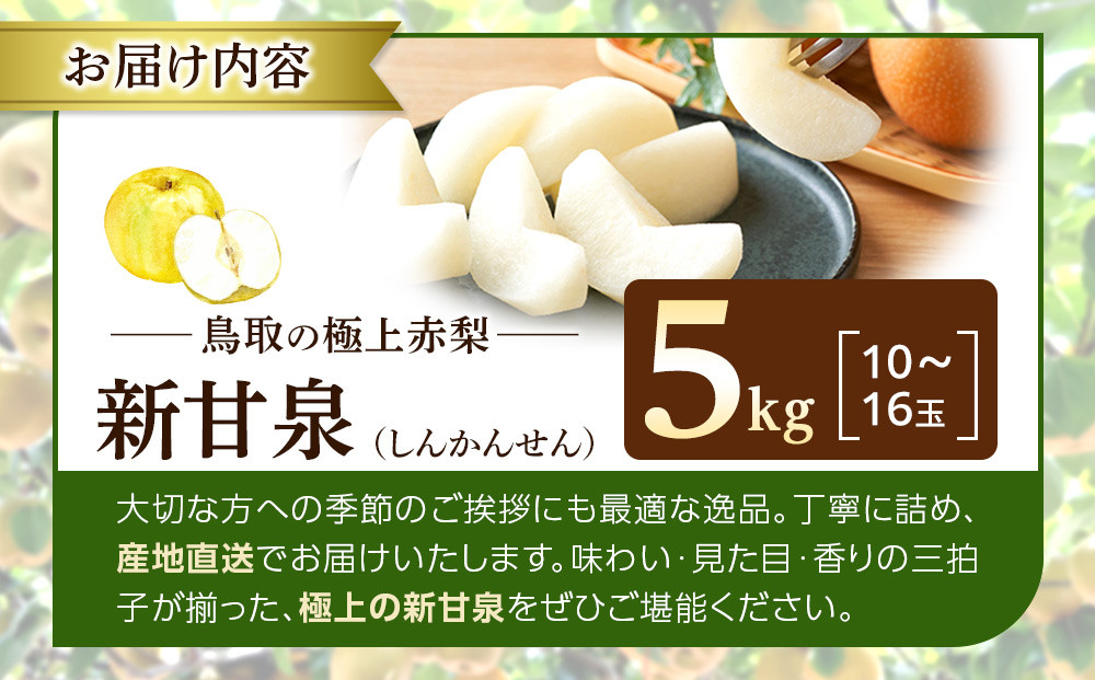 1121．【2026年度発送先行予約】数量限定　新甘泉　5kg