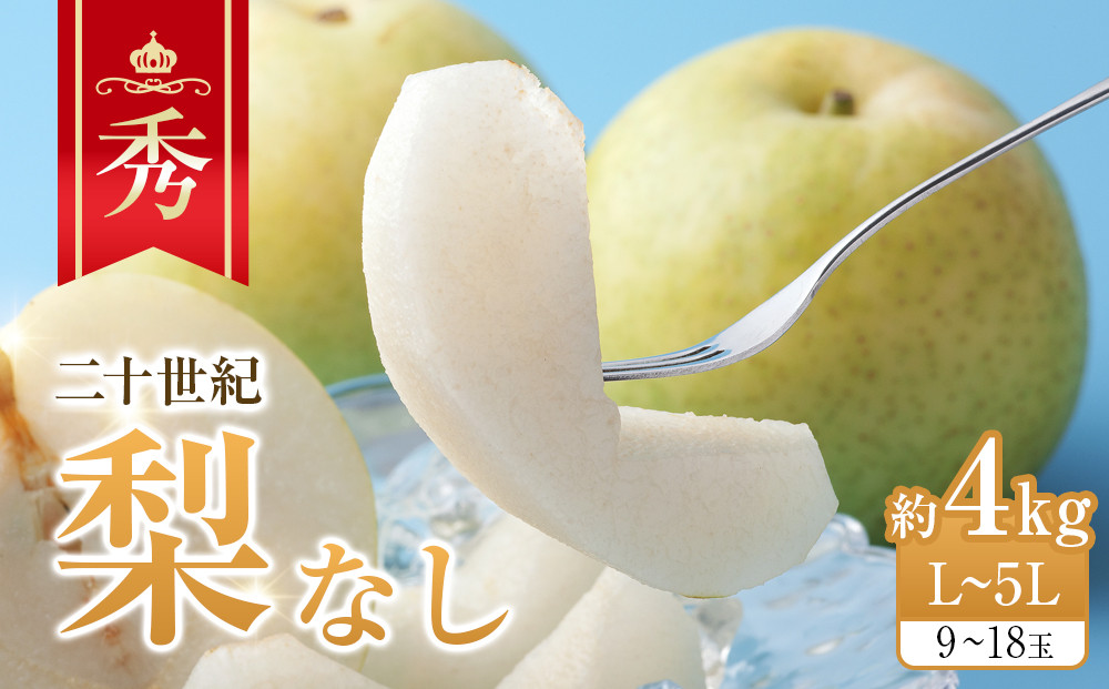 280.【先行予約】二十世紀梨　秀　約4Kg　L～5L　9～18玉前後◇　※2026年8月下旬～9月下旬頃に順次発送予定