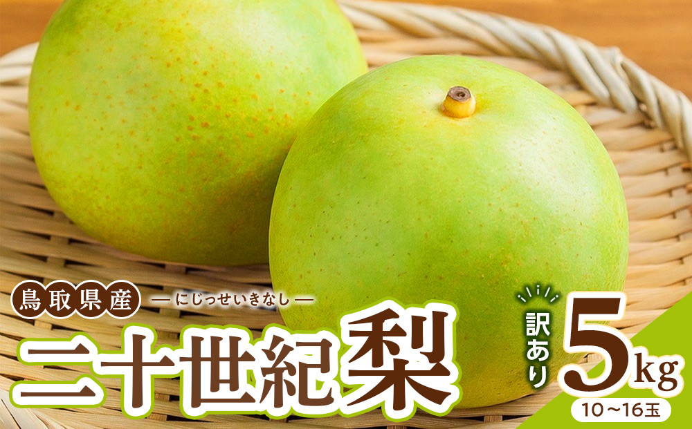 1264.【2026年度発送先行予約】訳あり　二十世紀梨　5kg