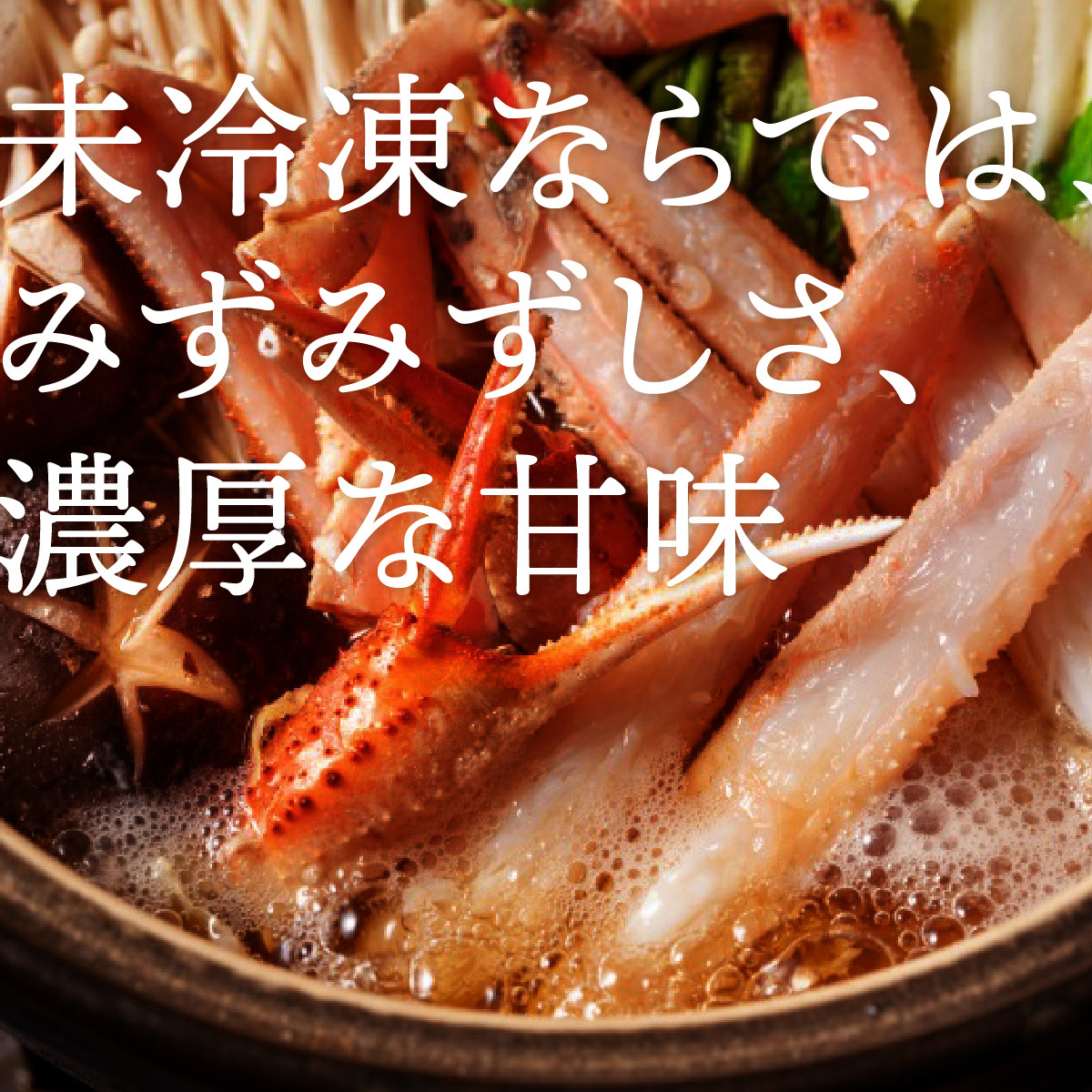 1075.鳥取産 特撰 紅ズワイガニ【釜茹で】2kg 4～5杯