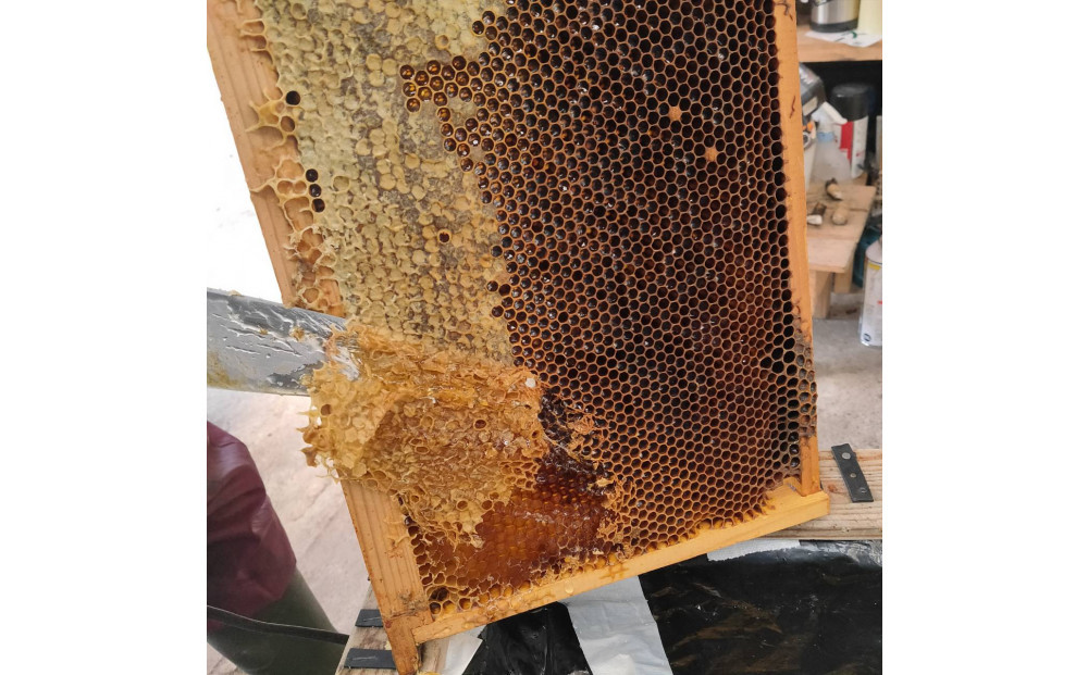 948.鳥取の花の香りを食卓へ。天然はちみつ3瓶セット（百花蜜、アカシア、トチ）67g×各1瓶（計3瓶） 蜂蜜 ハチミツ ハチ蜜 鳥取県産◇日本全国配送可能