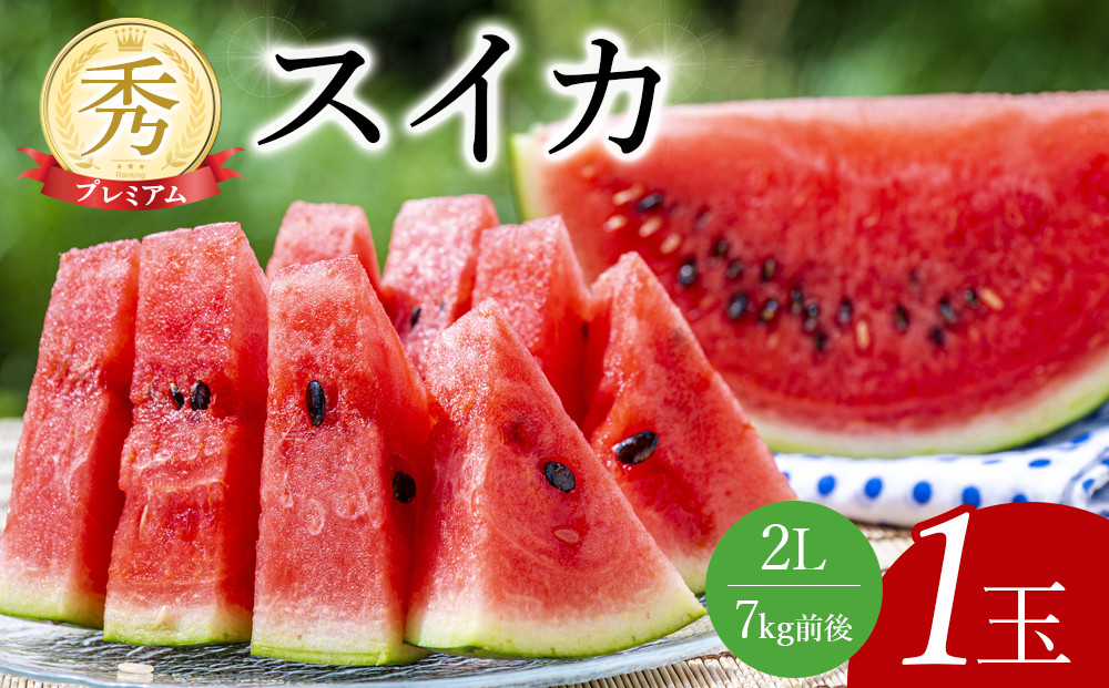 241.【先行予約】プレミアムスイカ　1玉◇※5月下旬～8月中旬頃に順次発送予定（こちらの返礼品は、大栄西瓜ではありません）