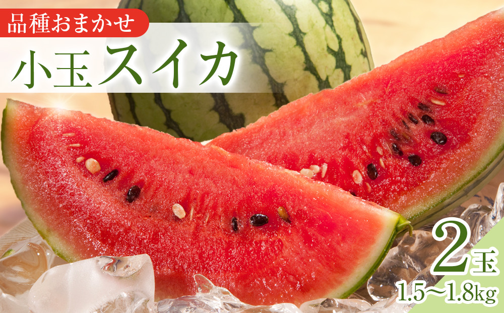 250.【先行予約】【品種はおまかせ】小玉スイカ　2玉◇　※6月上旬～8月中旬頃に順次発送予定