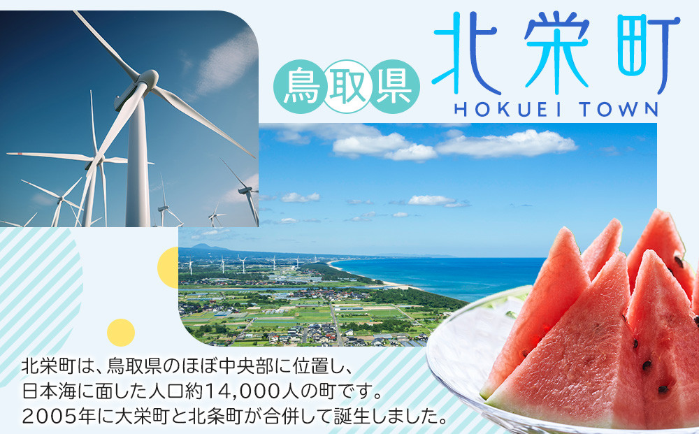【先行予約】鳥取県北栄町産 大玉スイカ 訳あり(2玉セット)１玉あたり6-9キロ前後L-4L（こちらの返礼品は、大栄西瓜ではありません）