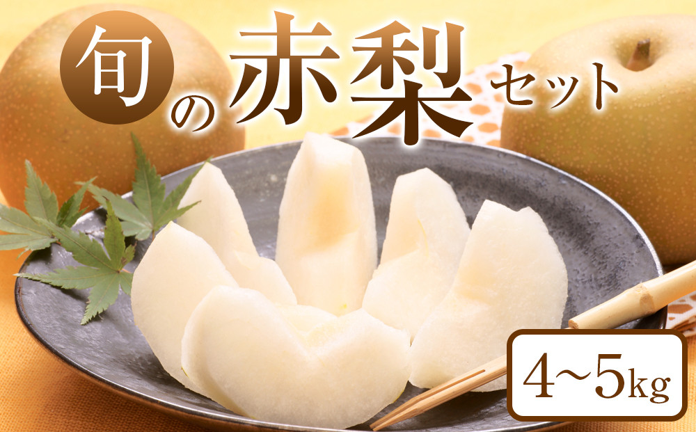 307.【先行予約】旬の赤梨セット　4～5kg前後◇　※2026年8月下旬～12月下旬頃に順次発送予定