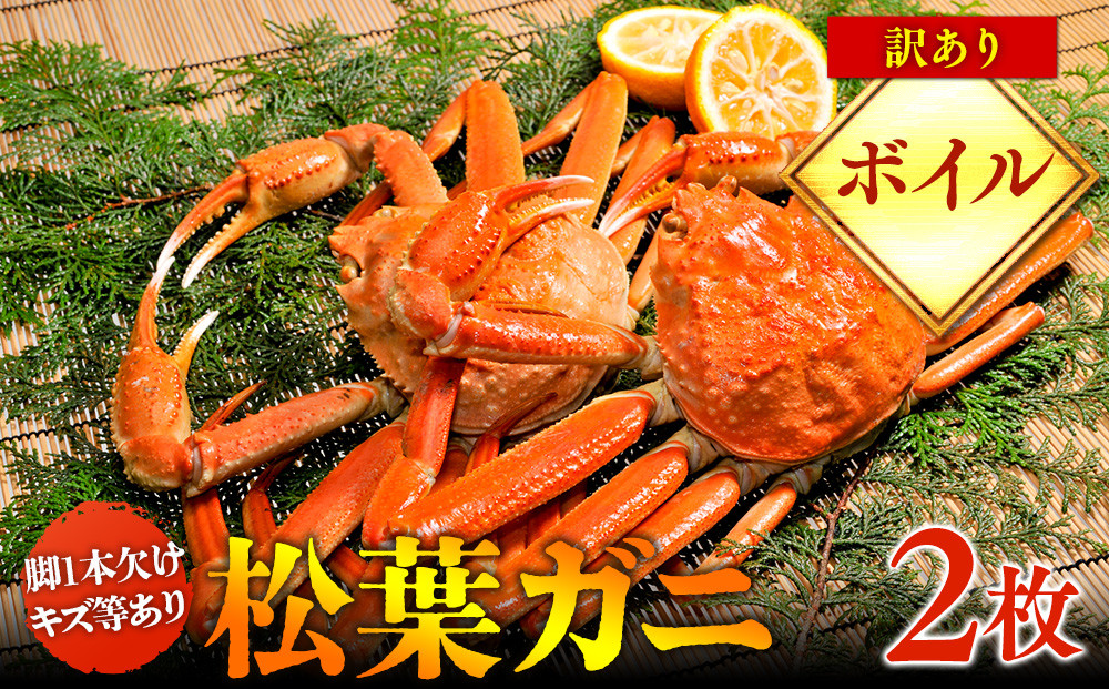 100.【ボイル】訳あり　松葉ガニ　2枚◇※2025年11月上旬～2026年3月下旬頃に順次発送予定※着日指定不可