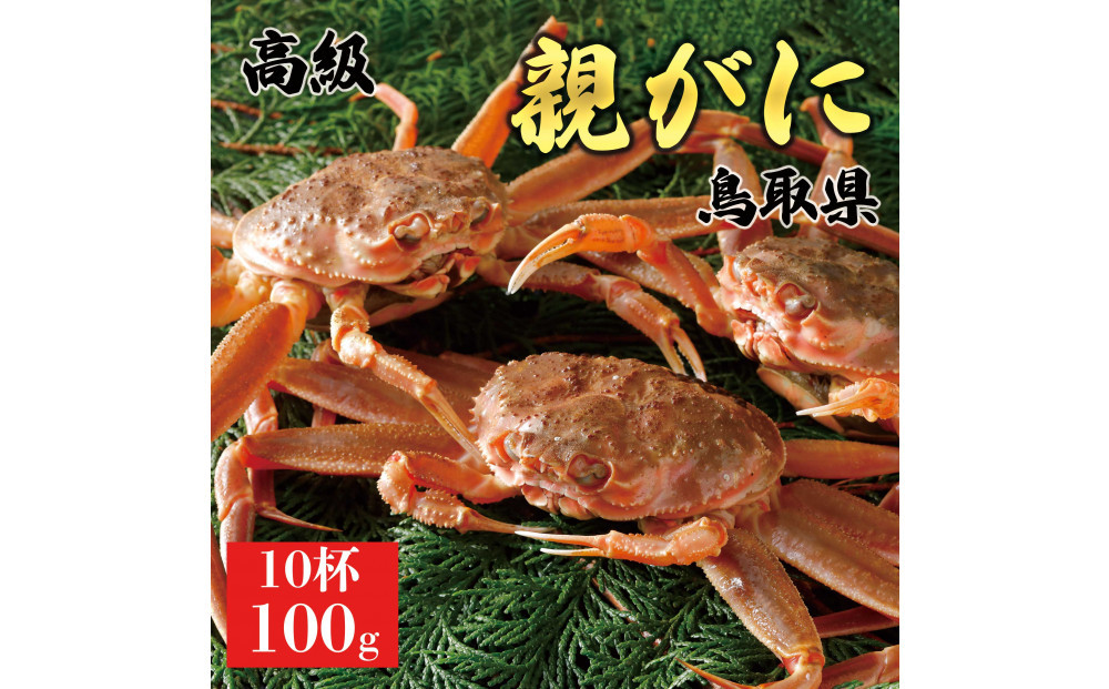 1067.【2026年12月発送】鳥取県産 特撰 親がに 姿【セコガニ】（なま）100g　10杯