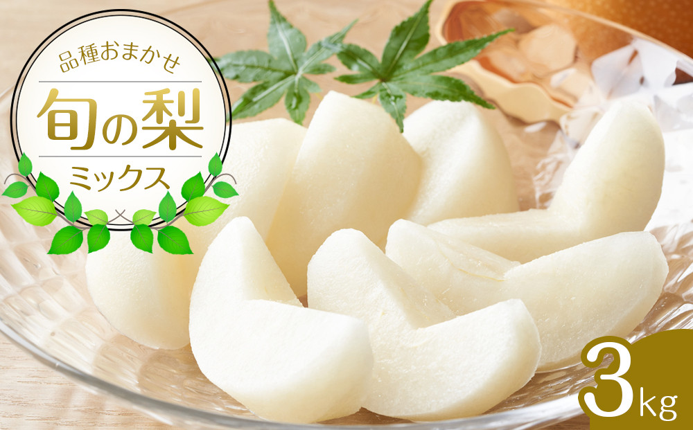 308.【先行予約】【品種はおまかせ】旬の梨ミックスセット 3kg　※2026年8月下旬～12月下旬頃に順次発送予定