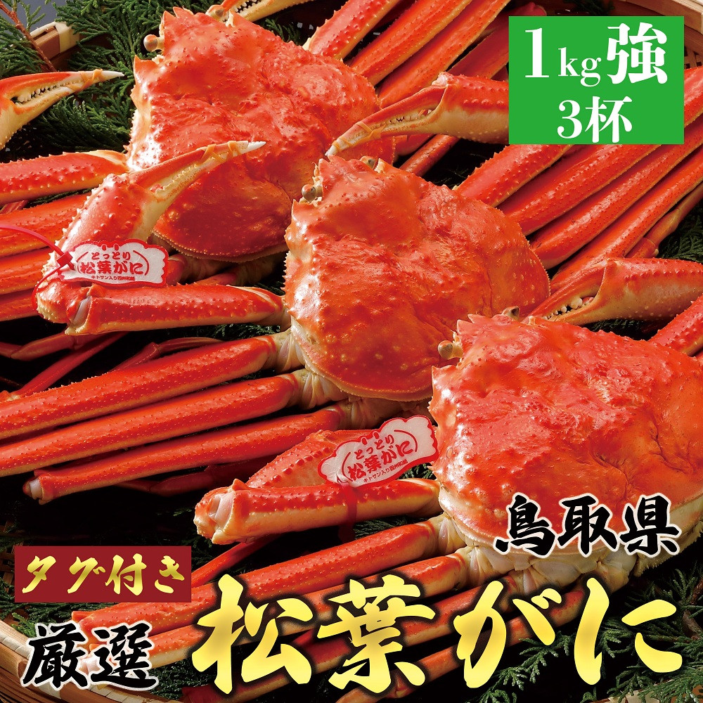 754.【ボイル】≪2026年1月～2026年3月発送≫ 特撰 松葉がに【ブランドタグ付き】 特大3杯（1kg×3杯）
