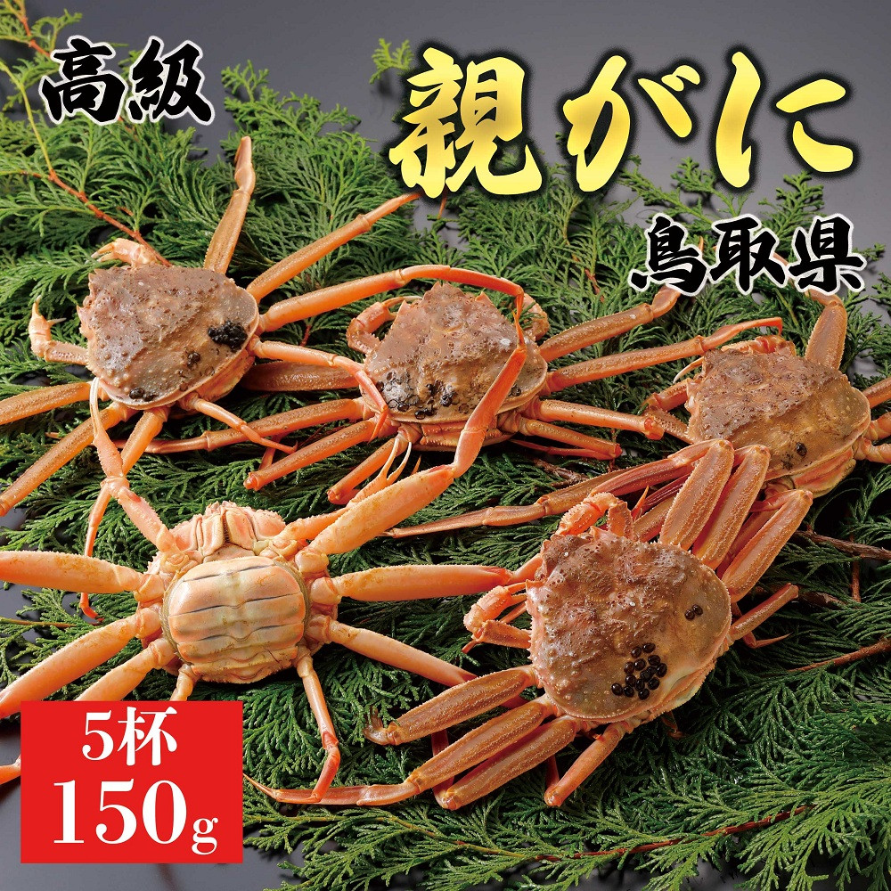 1062.【2026年12月発送】鳥取県産 特撰 親がに 姿【セコガニ】（なま）150g　5杯