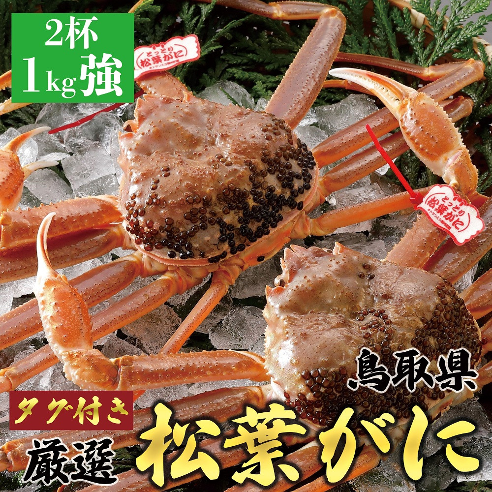 755.【活】【2026年1月～2026年3月発送】特撰 松葉がに【ブランドタグ付き】 特大2杯（1kg超×2杯）