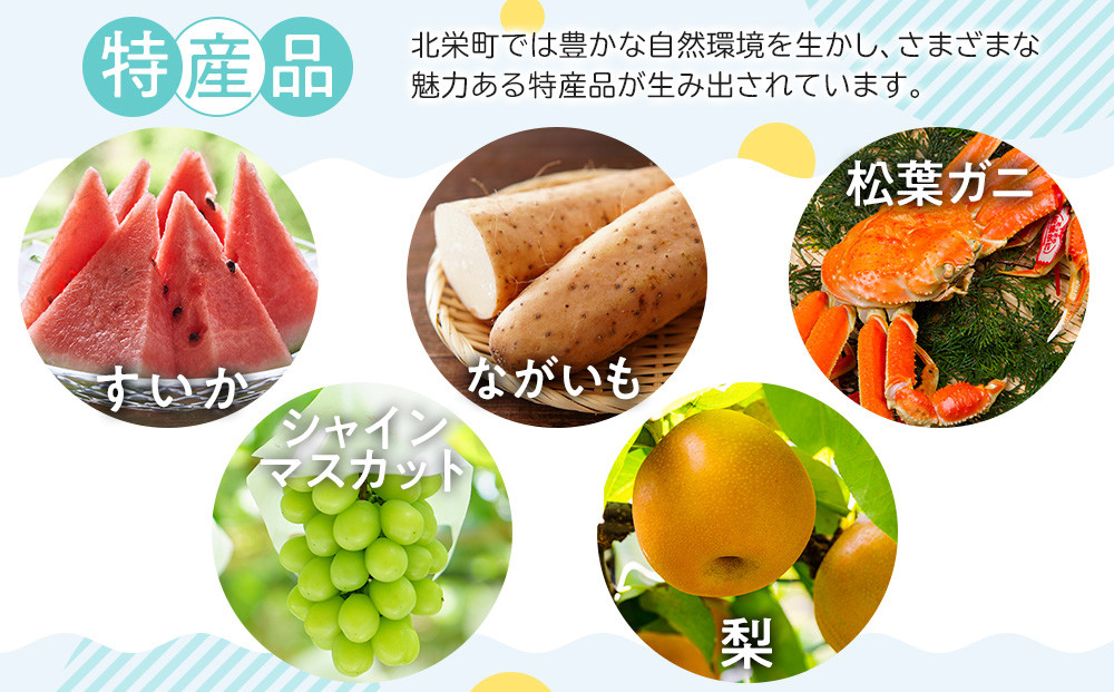 1099.【定期便全6回】【令和7年産】【食味鑑定士厳選】 鳥取県産 コシヒカリ20kg (5kg×4袋) 合計 120kg