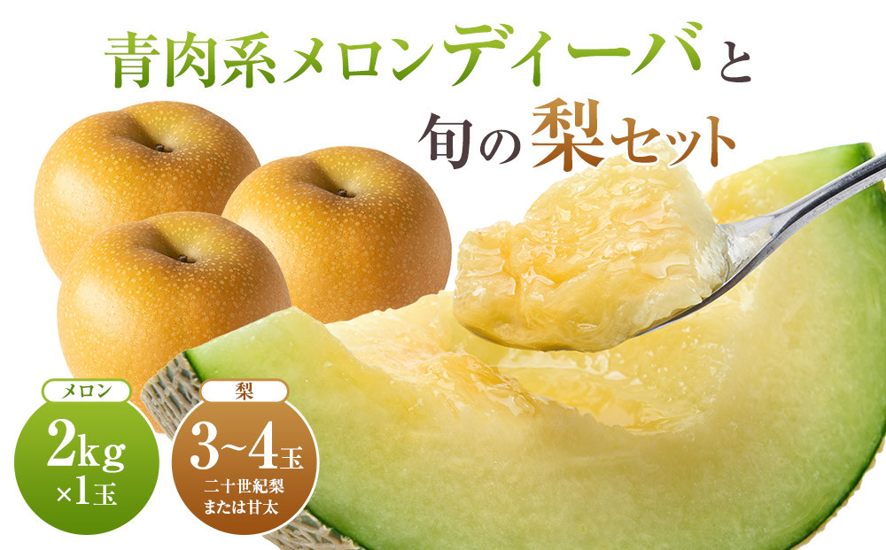 【先行予約】924.【ふるさと納税】【青肉系メロン】ディーバ（メロン）と旬の梨セット※離島への配送不可（北海道、沖縄本島は配送可能）