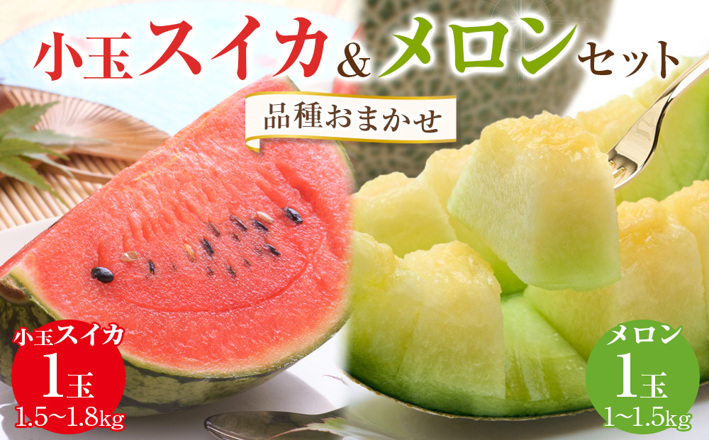 255.【先行予約】【品種はおまかせ】小玉スイカ1玉とメロン1玉セット◇ ※6月上旬～7月中旬頃に順次発送予定