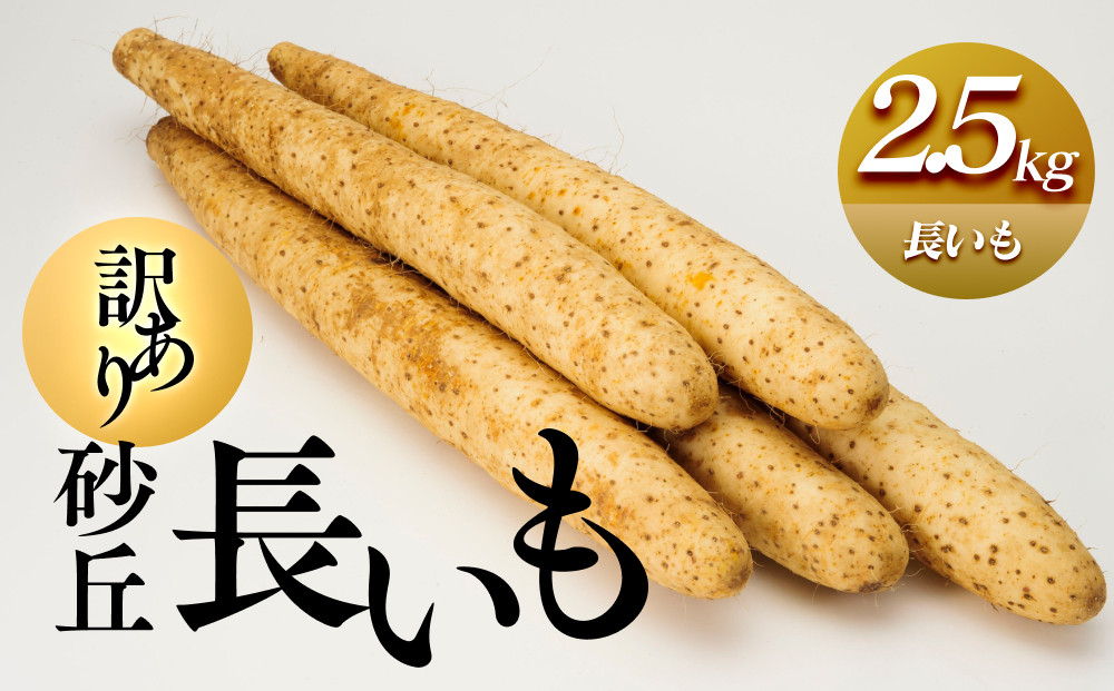 943.【訳あり】砂丘長いも2.5kg  長芋 ながいも 鳥取県産≪野菜 やさい≫※11月上旬頃～3月下旬頃に順次発送予定