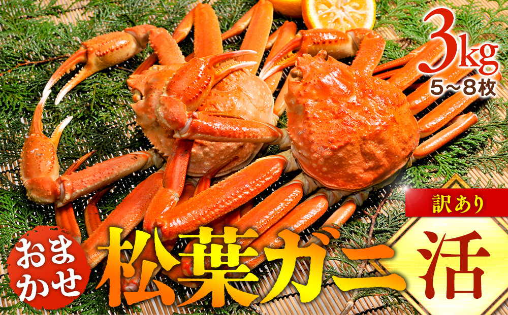 102.【活】訳あり　松葉ガニおまかせ3kg（5～8枚）※2025年11月上旬～2026年3月下旬頃に順次発送予定※着日指定不可