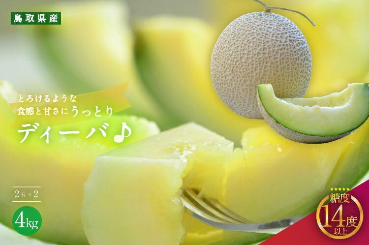 【先行予約】920.【青肉系メロン】ディーバ×２玉（1玉2kg前後×2玉）※離島への配送不可（北海道、沖縄本島は配送可能）