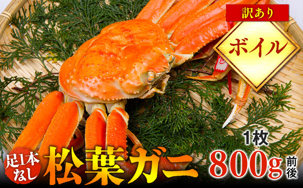 667.【ボイル】足1本なし　訳あり　松葉ガニ　大1枚（800g前後）【着日指定不可】※2025年11月上旬～2026年3月下旬頃に順次発送予定《かに カニ 蟹》