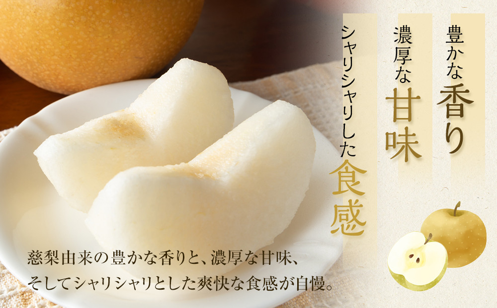 291.【先行予約】新甘泉　3kg前後（3～12玉前後）｜梨 なし 新甘泉 しんかんせん ◇※2026年8月下旬～9月下旬頃に順次発送予定