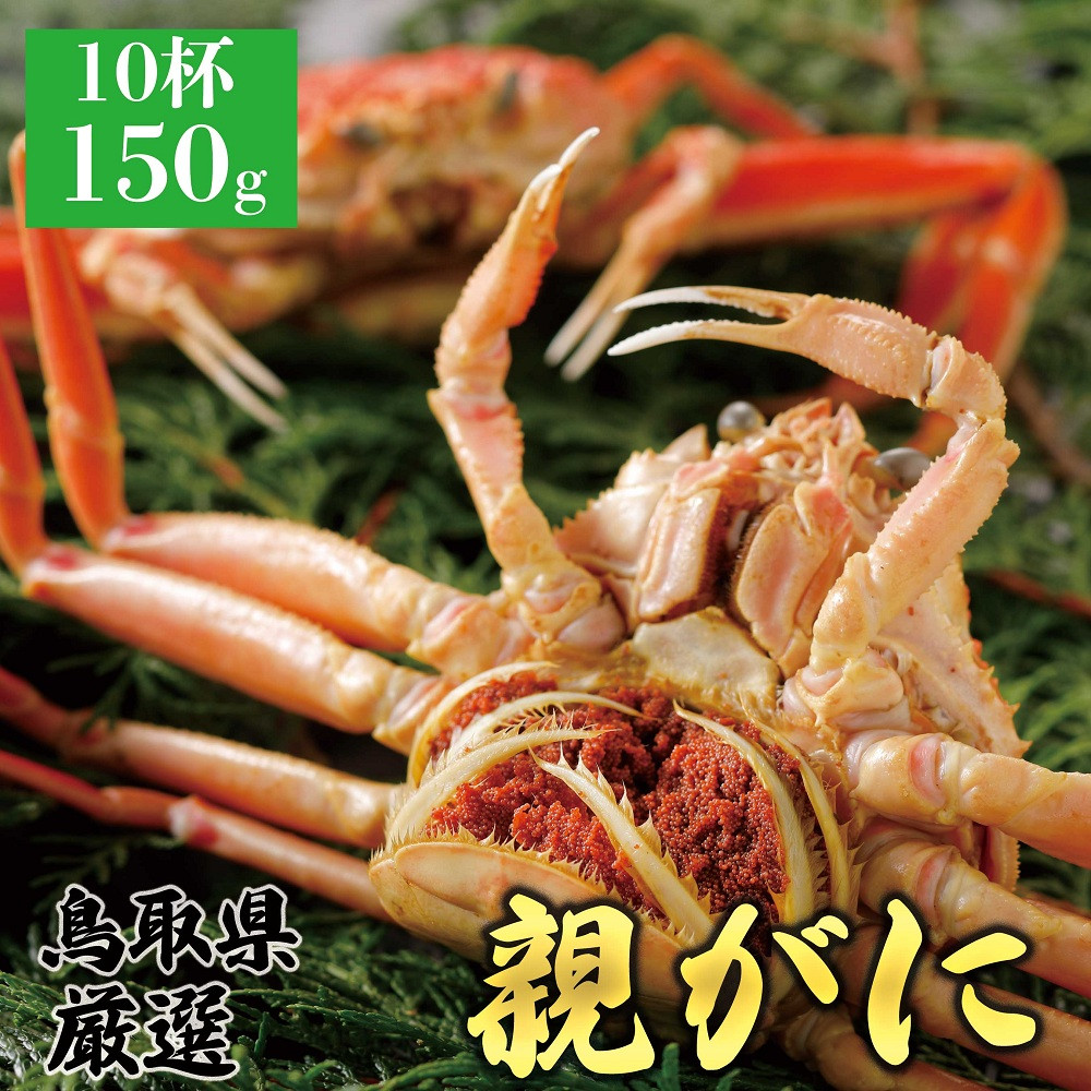 1064.【2026年12月発送】鳥取県産 特撰 親がに 姿【セコガニ】（茹）150g 10杯