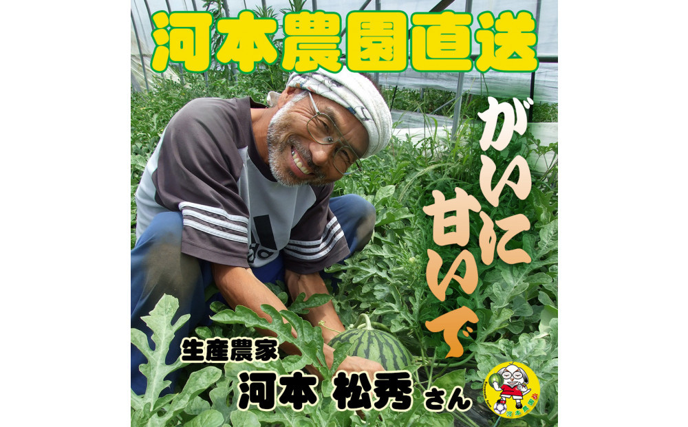 【先行予約】黒皮小玉スイカ 訳あり 鳥取県北栄町産 農家指定（こちらの返礼品は、大栄西瓜ではありません）
