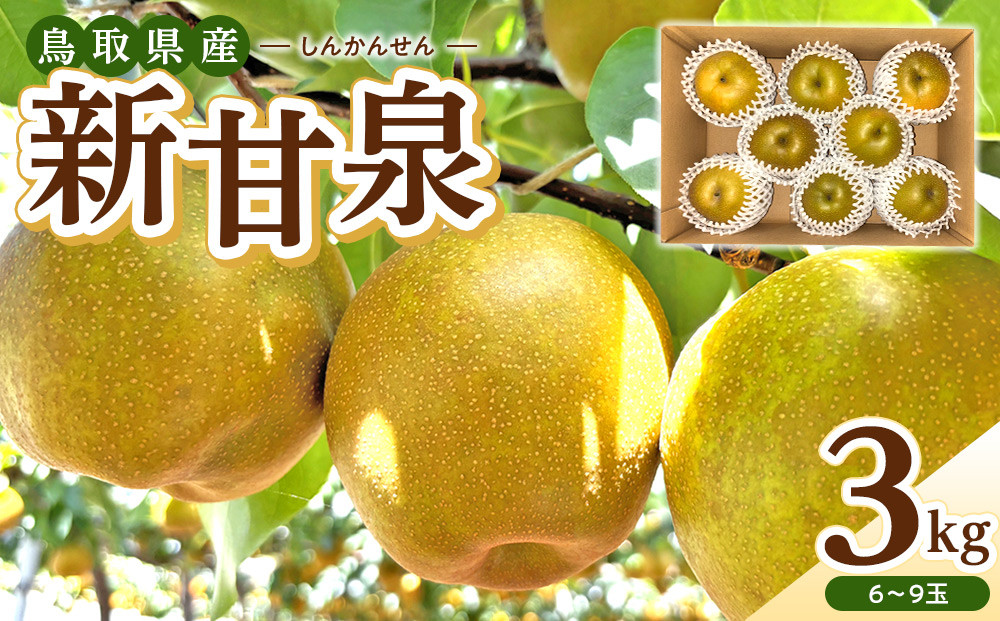 1256.【2026年度発送先行予約】数量限定　新甘泉　3kg