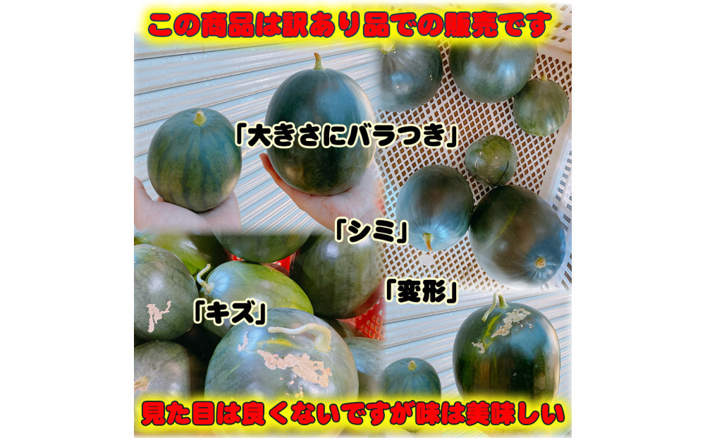 【先行予約】黒皮小玉スイカ 訳あり 鳥取県北栄町産 農家指定（こちらの返礼品は、大栄西瓜ではありません）