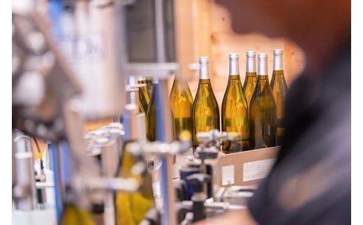 685.辛口赤ワイン「富士の夢２０１６郷」【化粧箱入り】　※着日指定不可　※離島への配送不可