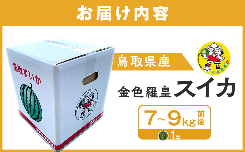 1116.【先行予約】鳥取県北栄町産 金色羅皇スイカ 1玉 7-9キロ前後（こちらの返礼品は、大栄西瓜ではありません）