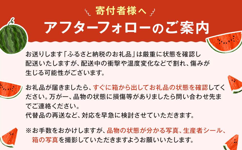 【先行予約】鳥取県北栄町産 大玉スイカ 訳あり(2玉セット)１玉あたり6-9キロ前後L-4L（こちらの返礼品は、大栄西瓜ではありません）