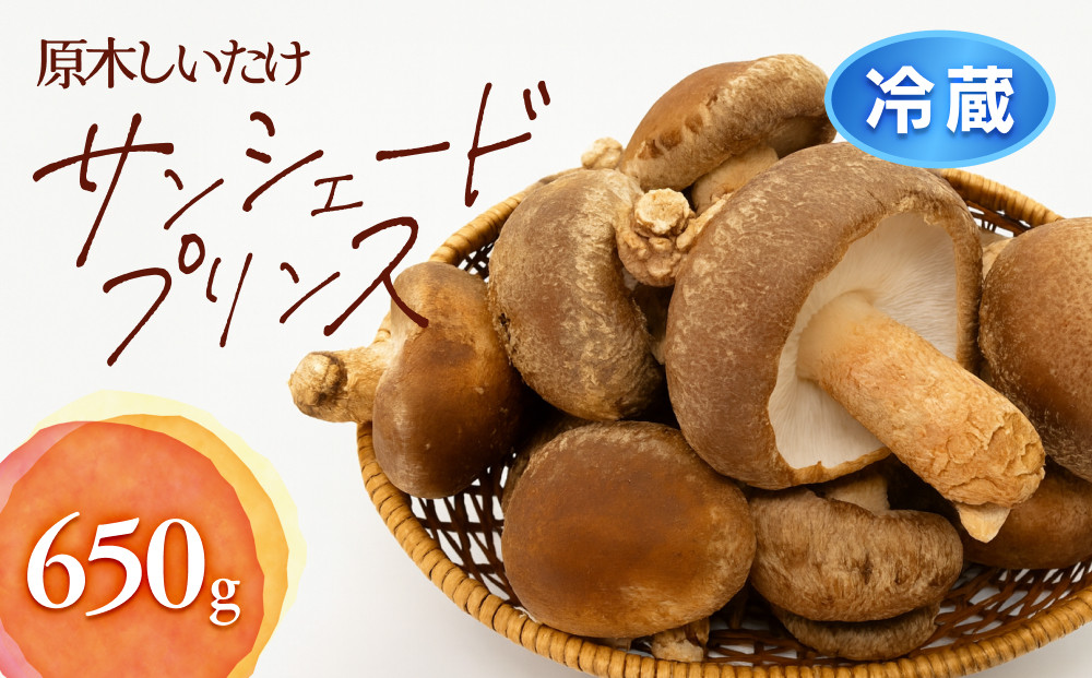 352.【冷蔵】原木しいたけ サンシェードプリンス　※北海道・沖縄・離島 以外への配送　※2025年12月中旬～2026年2月上旬頃に順次発送予定