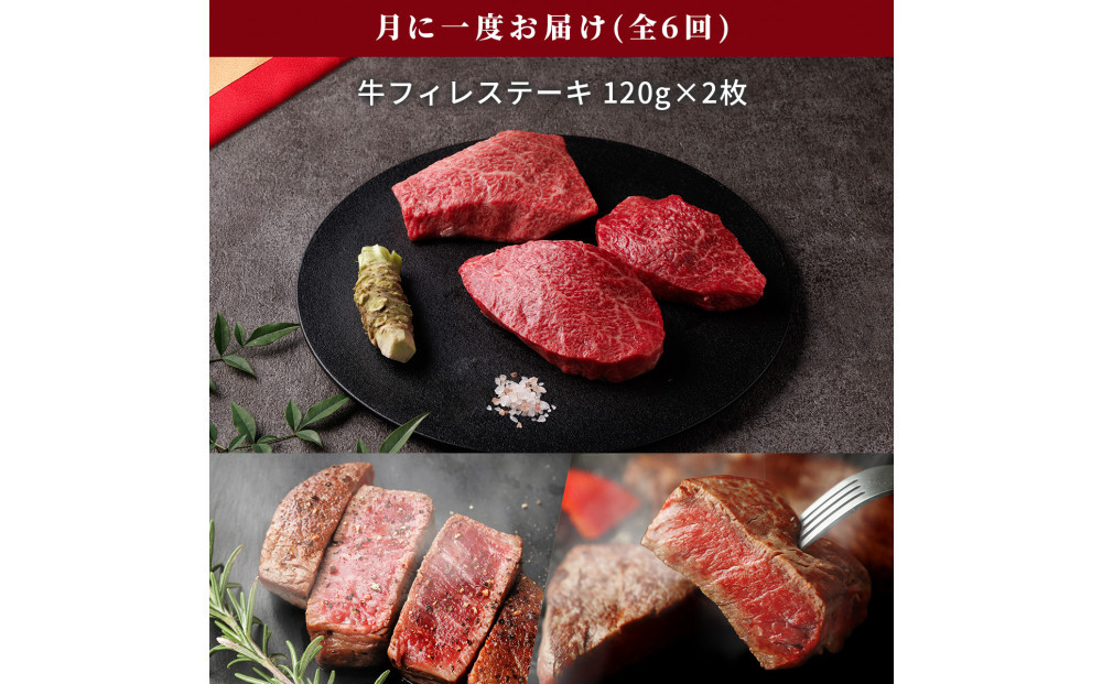 993.【和牛セレブ（6ヶ月定期便）】鳥取県産牛ヒレステーキ2枚×6か月間