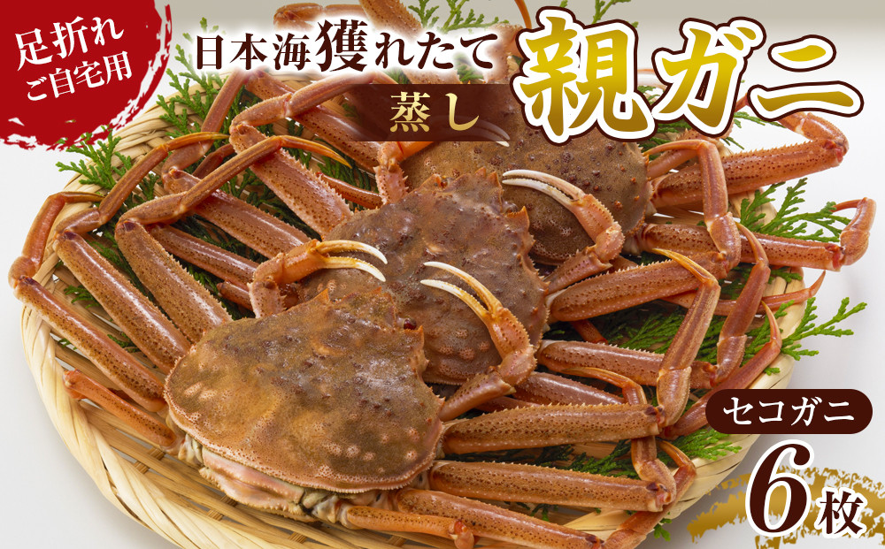 123.【蒸し】訳あり 足折れ ご自宅用 日本海獲れたて親ガニ（セコガニ）6枚　※2026年11月上旬～12月下旬頃に順次発送予定