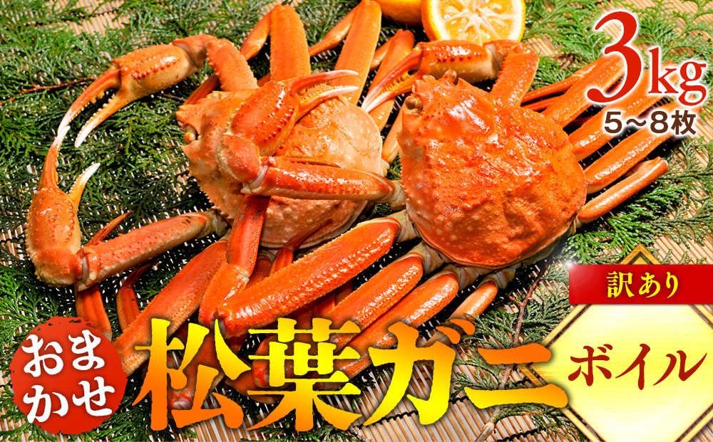 102.【ボイル】訳あり　松葉ガニおまかせ3kg（5～8枚）※2025年11月上旬～2026年3月下旬頃に順次発送予定※着日指定不可