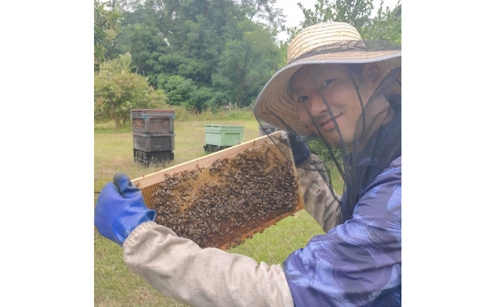 948.鳥取の花の香りを食卓へ。天然はちみつ3瓶セット（百花蜜、アカシア、トチ）67g×各1瓶（計3瓶） 蜂蜜 ハチミツ ハチ蜜 鳥取県産◇日本全国配送可能