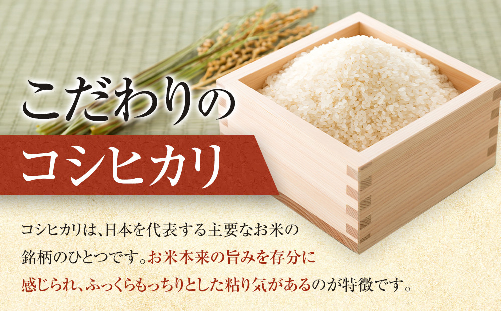 1095.【定期便全3回】【令和7年産】【食味鑑定士厳選】 鳥取県産 コシヒカリ30kg (5kg×6袋) 合計 90kg
