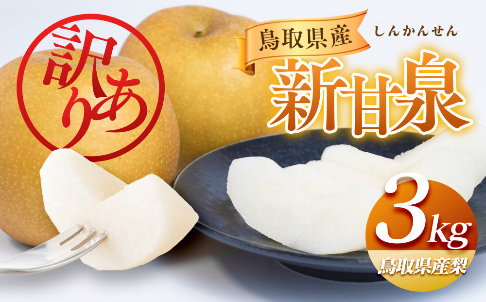 954.【先行予約】【訳あり】新甘泉 3kg　【梨・なし】≪梨 なし ナシ 果物 フルーツ くだもの 鳥取県北栄町≫※8月下旬頃～9月中旬頃に順次発送
